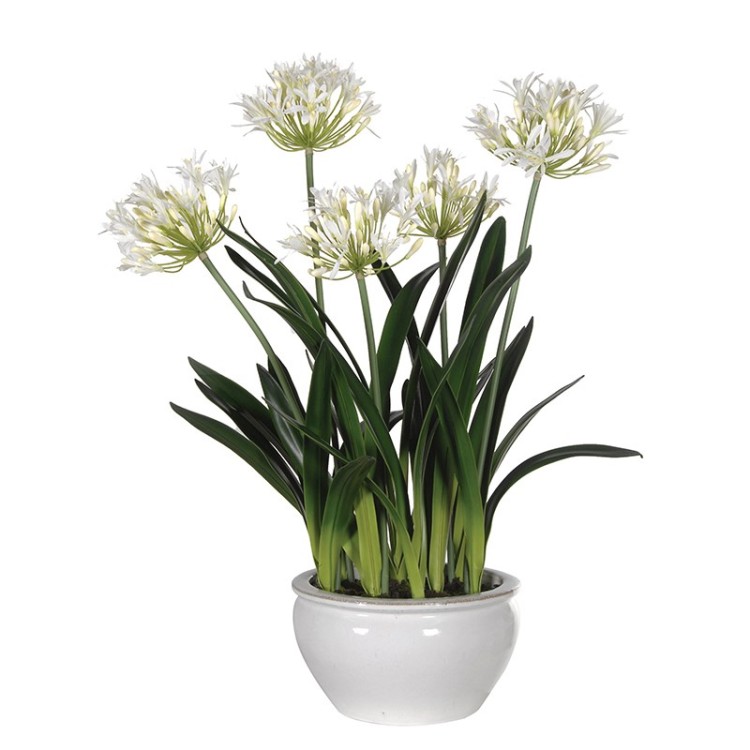 White Agapanthus Faux Plants in Cream Glazed Bowl | Lucy Willow Home